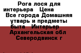 Рога лося для интерьера › Цена ­ 3 300 - Все города Домашняя утварь и предметы быта » Интерьер   . Архангельская обл.,Северодвинск г.